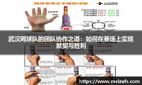 乐天堂APP